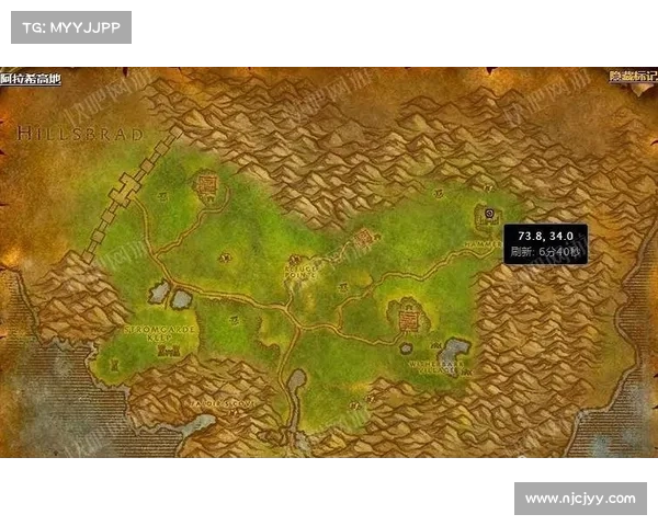 魔兽世界怀旧服骑士技能攻略：最速副本征程